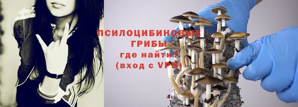 2c-b Балабаново